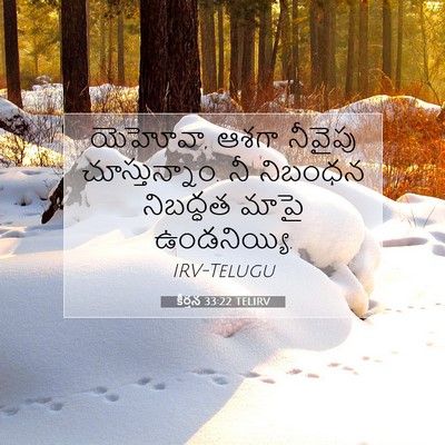 Picture 07 - కీర్తన 33:22 TELIRV - యెహోవా, ఆశగా - Bible Verse Picture