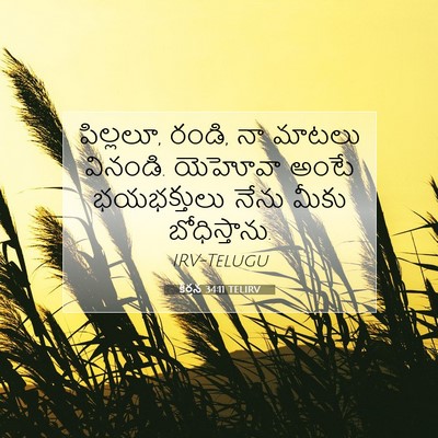 Picture 07 - కీర్తన 34:11 TELIRV - పిల్లలూ, రండి, నా - Bible Verse Picture