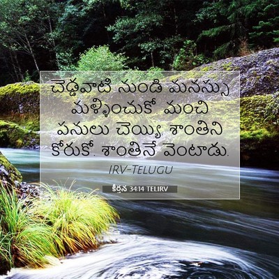 Picture 07 - కీర్తన 34:14 TELIRV - చెడ్డవాటి నుండి - Bible Verse Picture