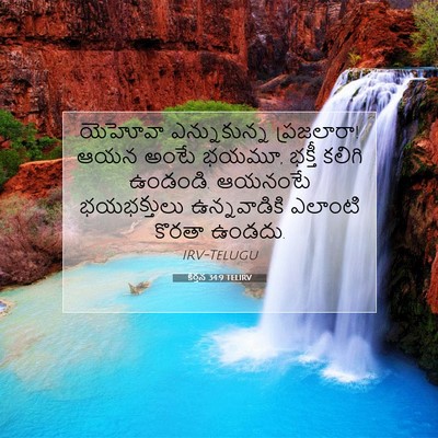 Picture 07 - కీర్తన 34:9 TELIRV - యెహోవా ఎన్నుకున్న - Bible Verse Picture