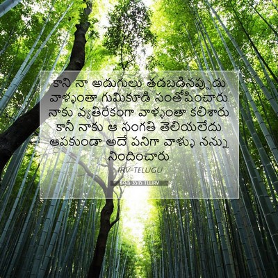 Picture 07 - కీర్తన 35:15 TELIRV - కాని నా అడుగులు - Bible Verse Picture