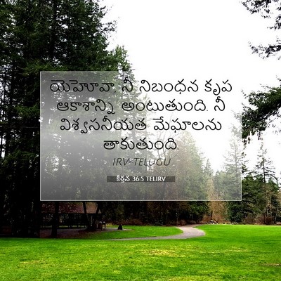 Picture 07 - కీర్తన 36:5 TELIRV - యెహోవా, నీ నిబంధన - Bible Verse Picture