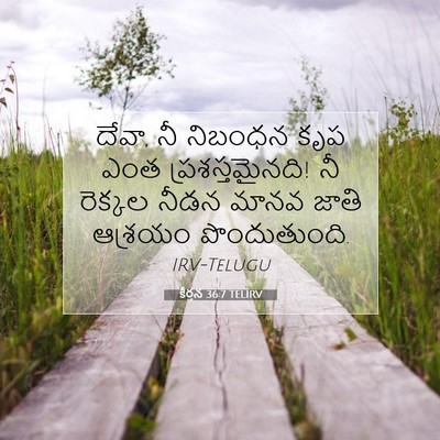 Picture 07 - కీర్తన 36:7 TELIRV - దేవా, నీ నిబంధన కృప - Bible Verse Picture