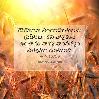 Picture 07 - కీర్తన 37:18 TELIRV - యెహోవా - Bible Verse Picture