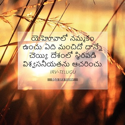 Picture 07 - కీర్తన 37:3 TELIRV - యెహోవాలో నమ్మకం - Bible Verse Picture