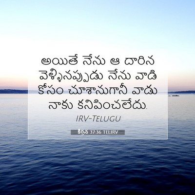 Picture 07 - కీర్తన 37:36 TELIRV - అయితే నేను ఆ దారిన - Bible Verse Picture