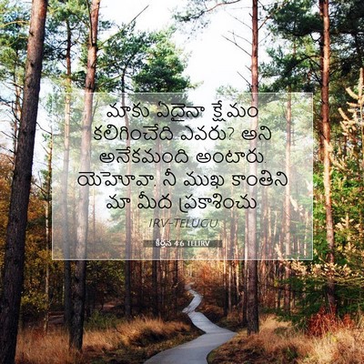 Picture 07 - కీర్తన 4:6 TELIRV - మాకు ఏదైనా క్షేమం - Bible Verse Picture