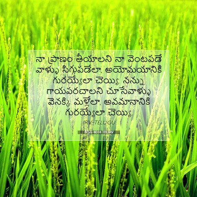 Picture 07 - కీర్తన 40:14 TELIRV - నా ప్రాణం తీయాలని - Bible Verse Picture