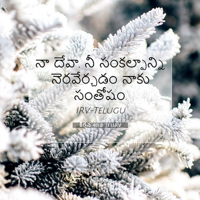 Picture 07 - కీర్తన 40:8 TELIRV - నా దేవా, నీ - Bible Verse Picture