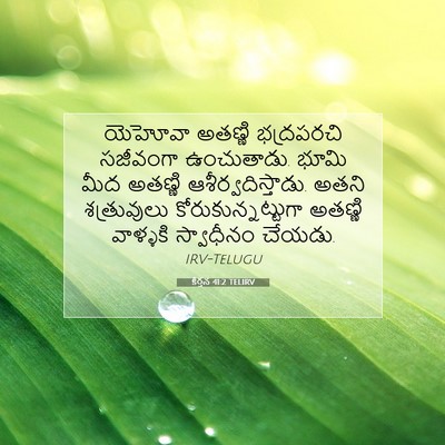 Picture 07 - కీర్తన 41:2 TELIRV - యెహోవా అతణ్ణి - Bible Verse Picture
