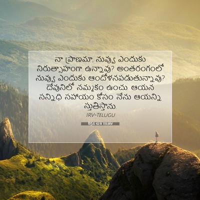 Picture 07 - కీర్తన 42:11 TELIRV - నా ప్రాణమా, నువ్వు - Bible Verse Picture