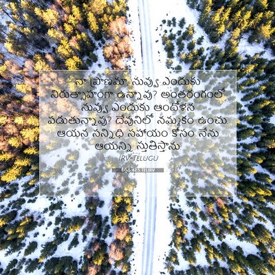 Picture 07 - కీర్తన 42:5 TELIRV - నా ప్రాణమా, నువ్వు - Bible Verse Picture