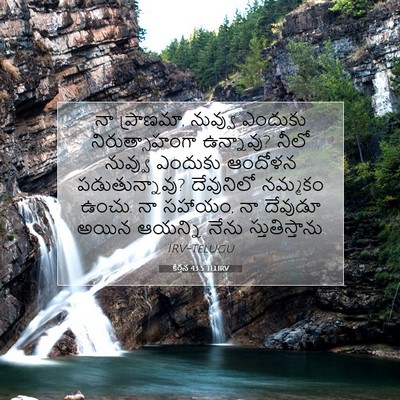 Picture 07 - కీర్తన 43:5 TELIRV - నా ప్రాణమా, నువ్వు - Bible Verse Picture