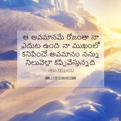Picture 07 - కీర్తన 44:16 TELIRV - ఆ అవమానమే రోజంతా - Bible Verse Picture