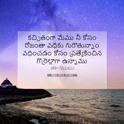 Picture 07 - కీర్తన 44:22 TELIRV - కచ్చితంగా మేము నీ - Bible Verse Picture