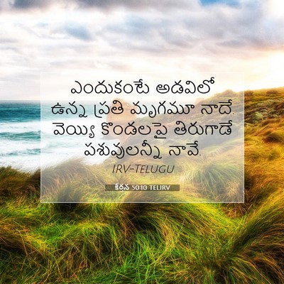 Picture 07 - కీర్తన 50:10 TELIRV - ఎందుకంటే అడవిలో - Bible Verse Picture