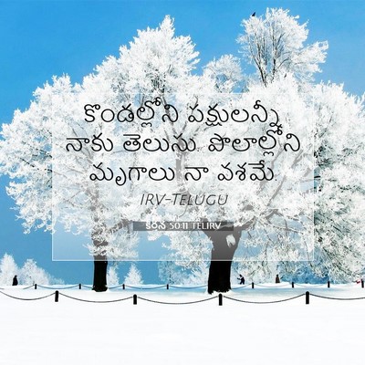 Picture 07 - కీర్తన 50:11 TELIRV - కొండల్లోని - Bible Verse Picture