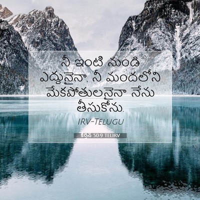 Picture 07 - కీర్తన 50:9 TELIRV - నీ ఇంటి నుండి - Bible Verse Picture