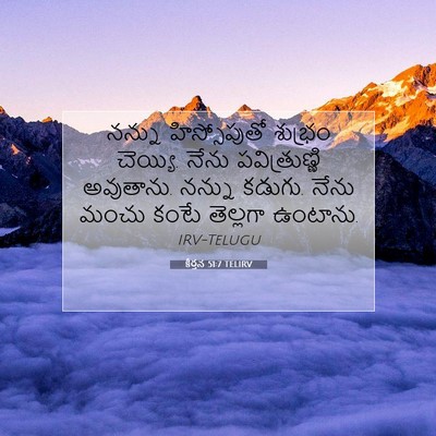 Picture 07 - కీర్తన 51:7 TELIRV - నన్ను హిస్సోపుతో - Bible Verse Picture