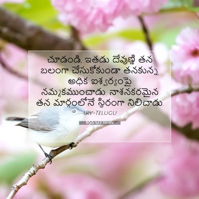 Picture 07 - కీర్తన 52:7 TELIRV - చూడండి, ఇతడు - Bible Verse Picture