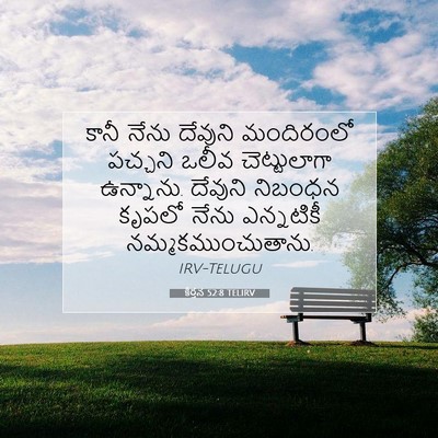 Picture 07 - కీర్తన 52:8 TELIRV - కానీ నేను దేవుని - Bible Verse Picture