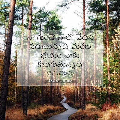Picture 07 - కీర్తన 55:4 TELIRV - నా గుండె నాలో వేదన - Bible Verse Picture