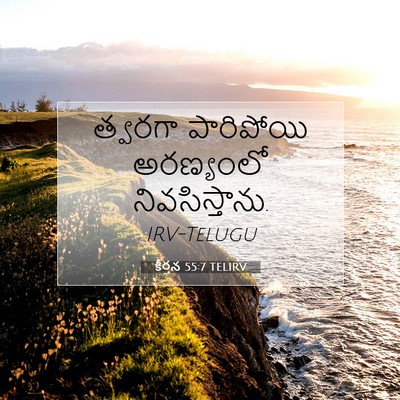 Picture 07 - కీర్తన 55:7 TELIRV - త్వరగా పారిపోయి - Bible Verse Picture