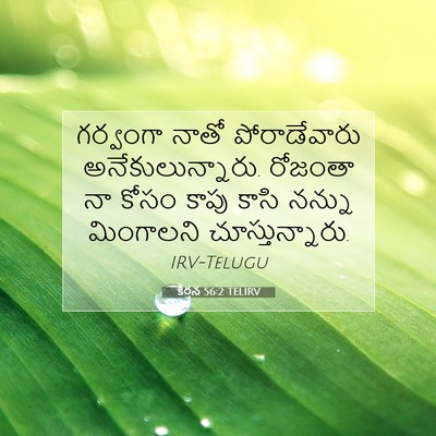 Picture 07 - కీర్తన 56:2 TELIRV - గర్వంగా నాతో - Bible Verse Picture