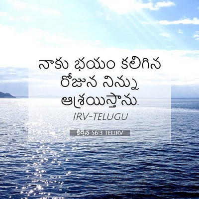 Picture 07 - కీర్తన 56:3 TELIRV - నాకు భయం కలిగిన - Bible Verse Picture