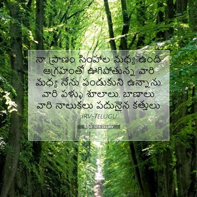 Picture 07 - కీర్తన 57:4 TELIRV - నా ప్రాణం సింహాల - Bible Verse Picture