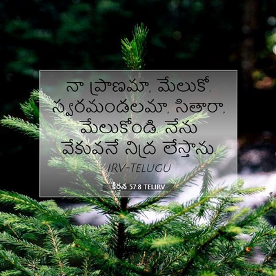 Picture 07 - కీర్తన 57:8 TELIRV - నా ప్రాణమా, మేలుకో. - Bible Verse Picture