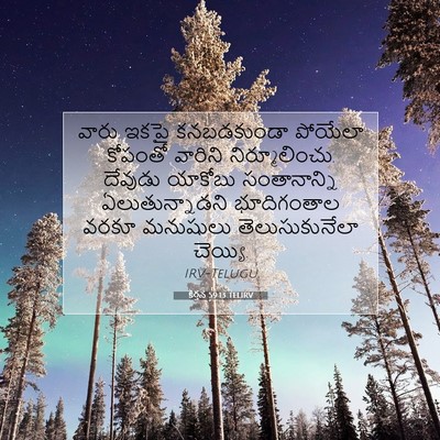 Picture 07 - కీర్తన 59:13 TELIRV - వారు ఇకపై - Bible Verse Picture