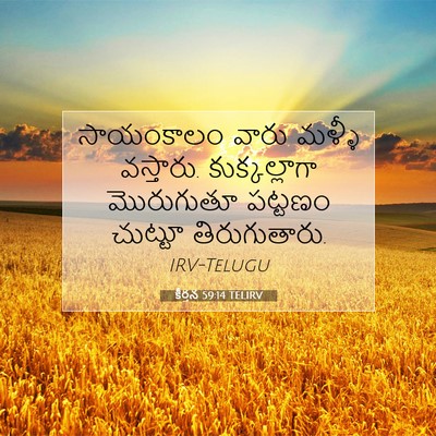 Picture 07 - కీర్తన 59:14 TELIRV - సాయంకాలం వారు - Bible Verse Picture