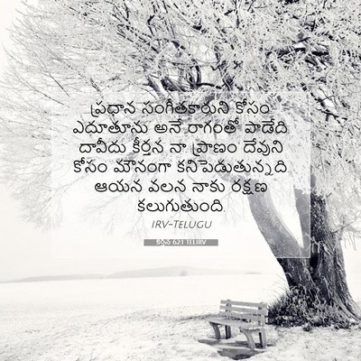 Picture 07 - కీర్తన 62:1 TELIRV - ప్రధాన - Bible Verse Picture