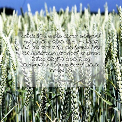 Picture 07 - కీర్తన 63:1 TELIRV - దావీదు కీర్తన. - Bible Verse Picture