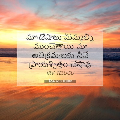 Picture 07 - కీర్తన 65:3 TELIRV - మా దోషాలు - Bible Verse Picture