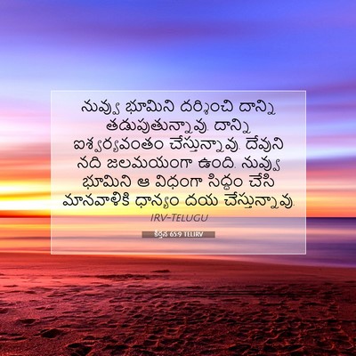 Picture 07 - కీర్తన 65:9 TELIRV - నువ్వు భూమిని - Bible Verse Picture
