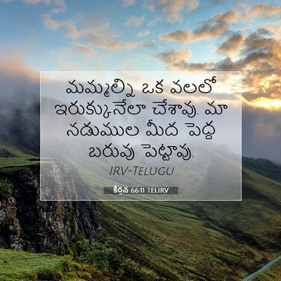 Picture 07 - కీర్తన 66:11 TELIRV - మమ్మల్ని ఒక వలలో - Bible Verse Picture