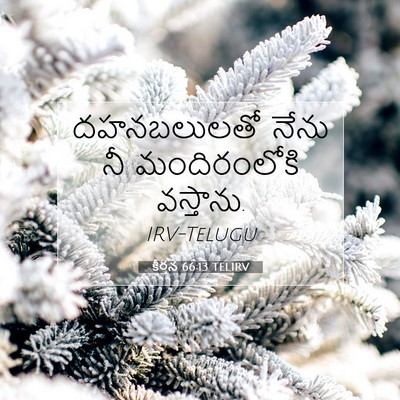 Picture 07 - కీర్తన 66:13 TELIRV - దహనబలులతో నేను నీ - Bible Verse Picture