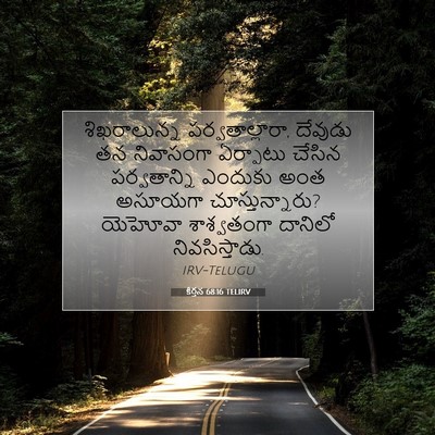 Picture 07 - కీర్తన 68:16 TELIRV - శిఖరాలున్న - Bible Verse Picture