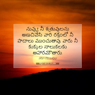Picture 07 - కీర్తన 68:23 TELIRV - నువ్వు నీ - Bible Verse Picture