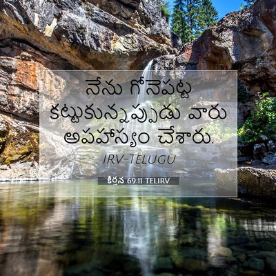 Picture 07 - కీర్తన 69:11 TELIRV - నేను గోనెపట్ట - Bible Verse Picture