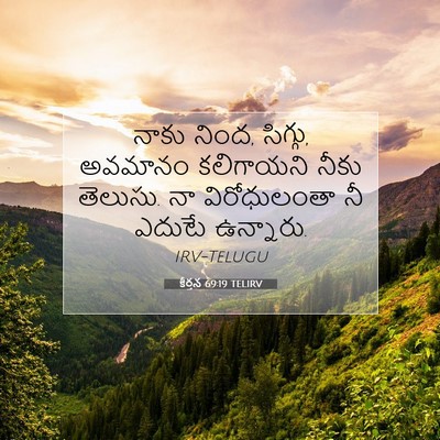 Picture 07 - కీర్తన 69:19 TELIRV - నాకు నింద, సిగ్గు, - Bible Verse Picture