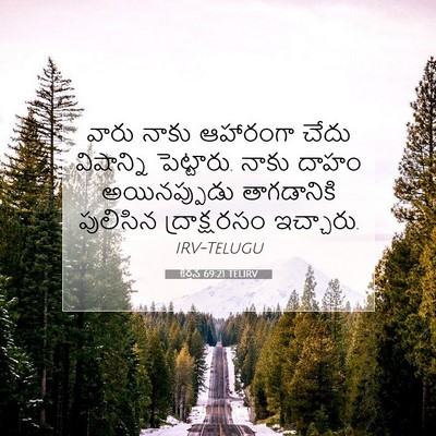 Picture 07 - కీర్తన 69:21 TELIRV - వారు నాకు ఆహారంగా - Bible Verse Picture