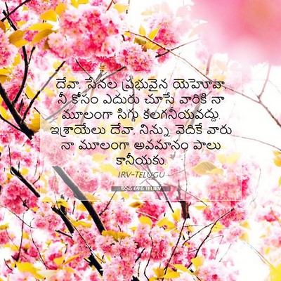 Picture 07 - కీర్తన 69:6 TELIRV - దేవా, సేనల - Bible Verse Picture