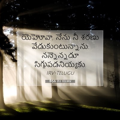 Picture 07 - కీర్తన 71:1 TELIRV - యెహోవా, నేను నీ - Bible Verse Picture