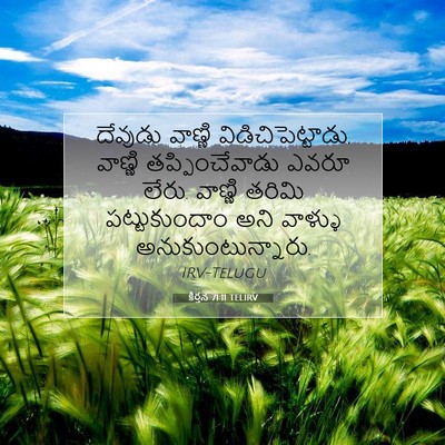 Picture 07 - కీర్తన 71:11 TELIRV - దేవుడు వాణ్ణి - Bible Verse Picture