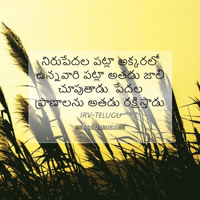 Picture 07 - కీర్తన 72:13 TELIRV - నిరుపేదల పట్లా - Bible Verse Picture