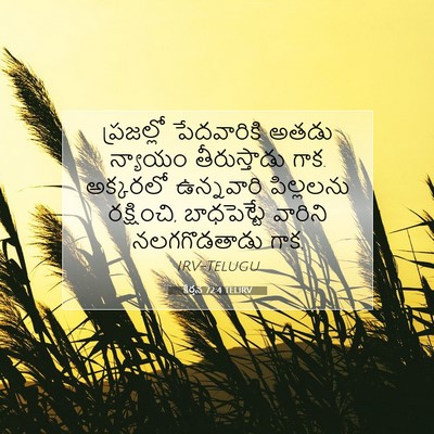 Picture 07 - కీర్తన 72:4 TELIRV - ప్రజల్లో - Bible Verse Picture