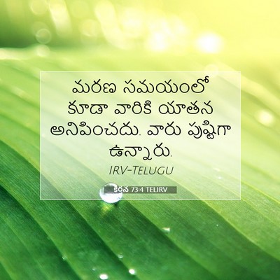Picture 07 - కీర్తన 73:4 TELIRV - మరణ సమయంలో కూడా - Bible Verse Picture